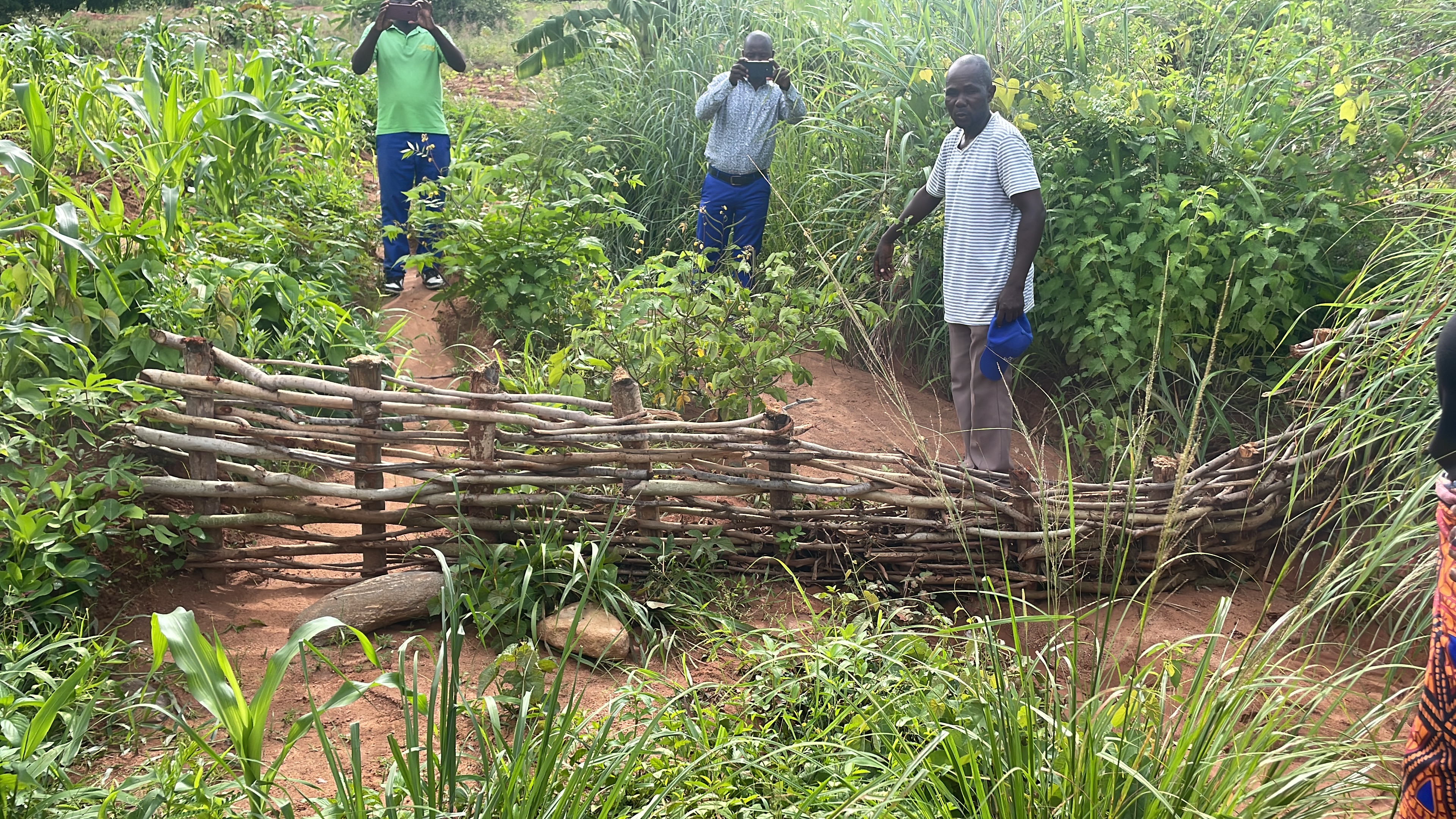 STRENGTHENING CLIMATE RESILIENCE: HOW LIFE-AR IS TRANSFORMING COMMUNITIES IN MALAWI